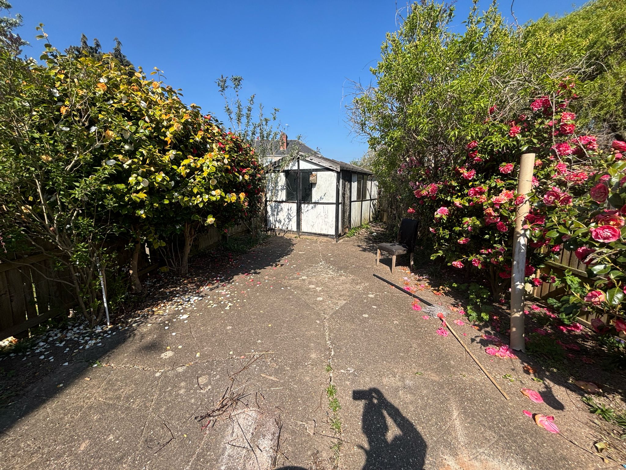 Lavender Avenue, Coundon Image27